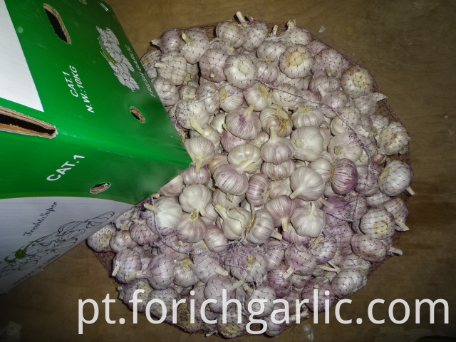 Jinxiang Normal White Garlic 2019